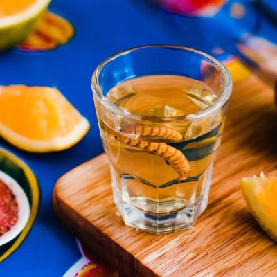 Close-up of a gusano in a shot glass of mezcal, surrounded by orange slices and a salt rim, photo by eskymaks/Adobe Stock