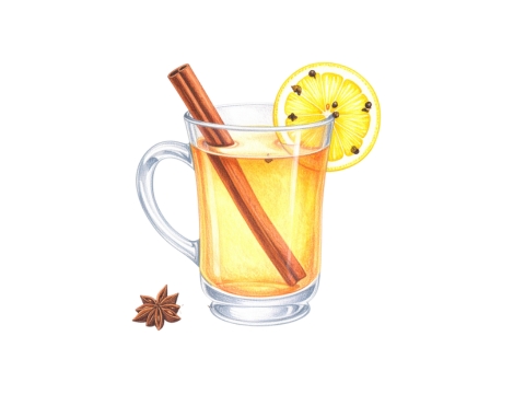 Classic color pencil illustration of a Hot Toddy cocktail