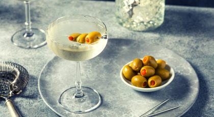 Best Gin for a Martini (Classic, Dry & Dirty) for a True Martini Lover