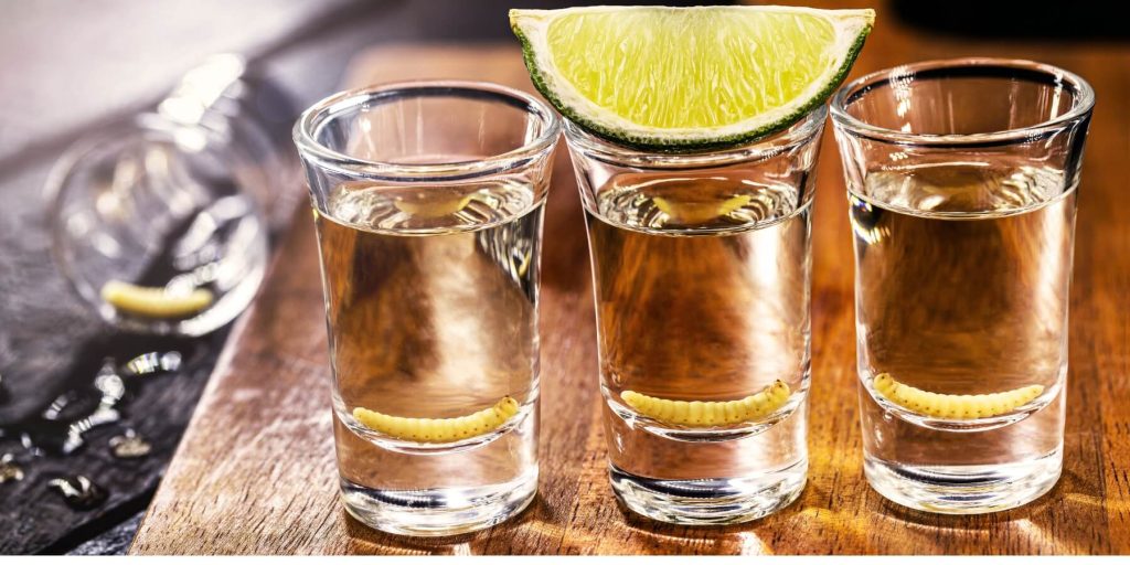 Three shot glasses of mezcal each with a gusano at the bottom, garnished with a lime wedge, photo by RHJ/Adobe Stock