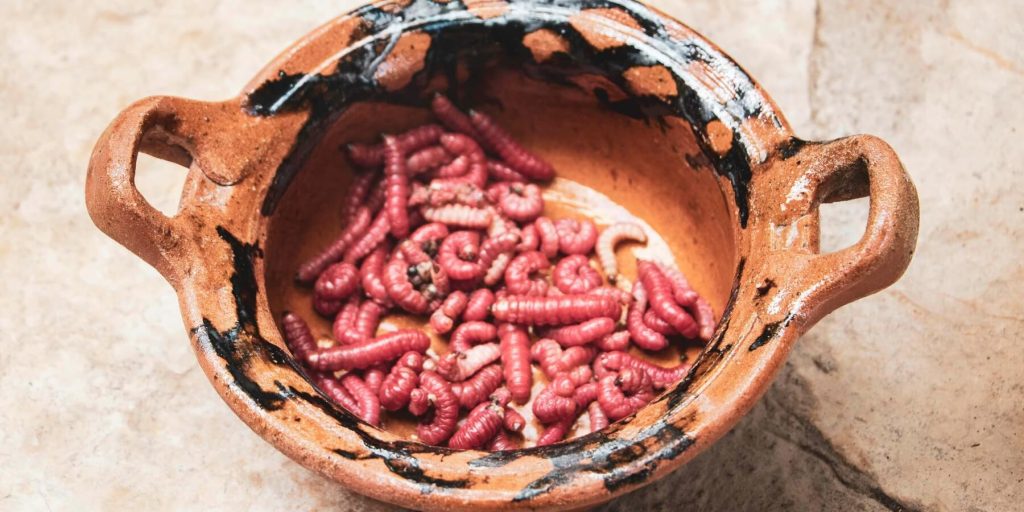 Traditional terracotta bowl filled with red gusano worms used in mezcal, photo by Simon/Adobe Stock